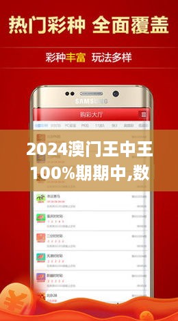 2024年新澳门王中王-实用释义解释落实