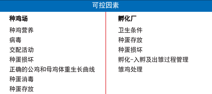 澳门与香港一码一肖一特一中;-公开性与精选解析的深度探讨